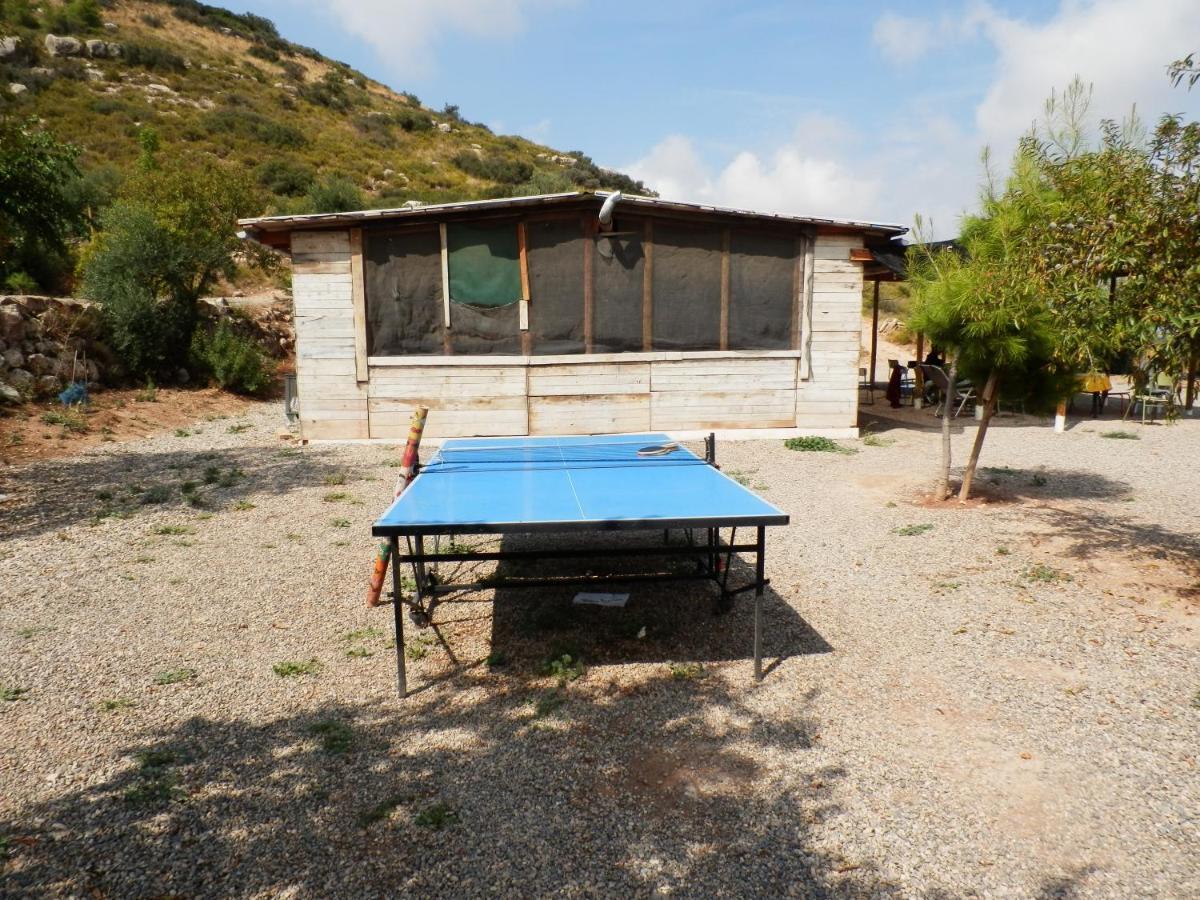 La Comanglora Lleida Exterior foto