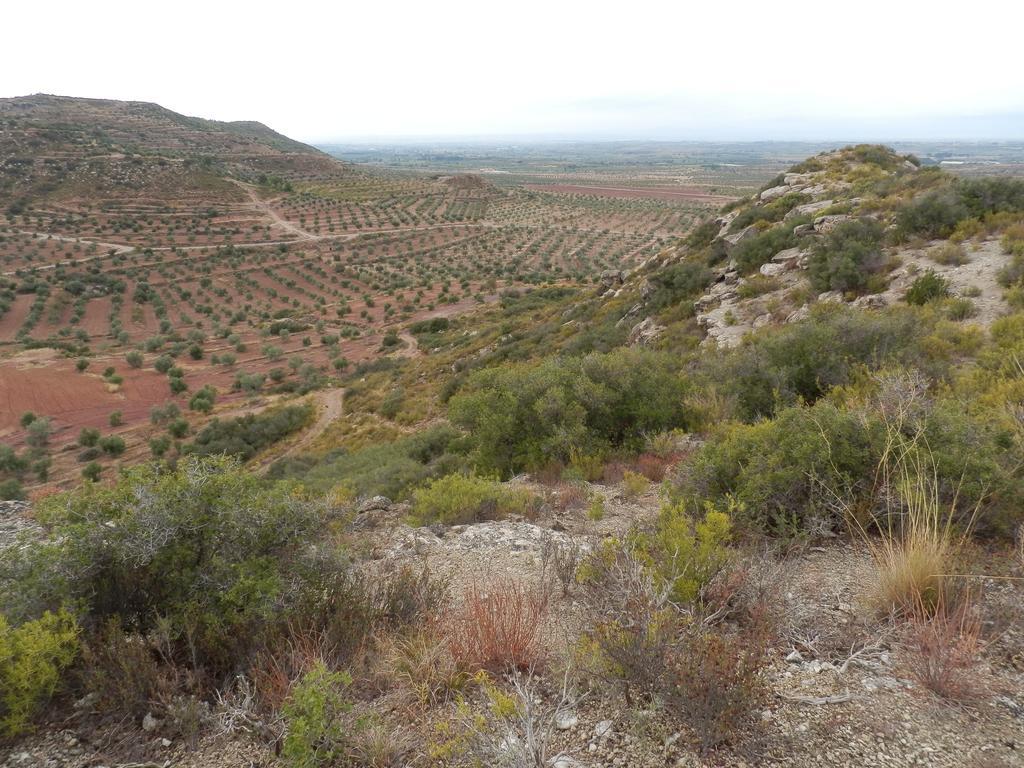 La Comanglora Lleida Exterior foto